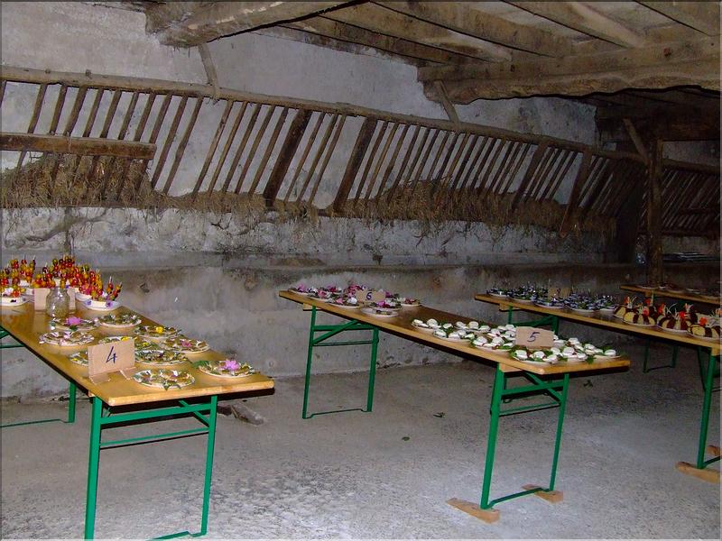 urmas2007suite20069