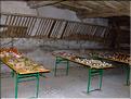 urmas2007suite20069